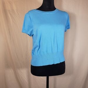 Petite Sophisticate Sky Blue Crew Neck Sweater - L